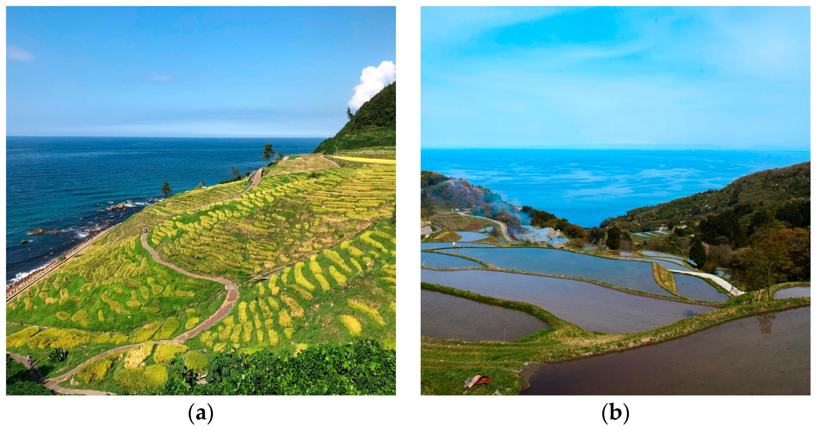 Land | Free Full-Text | Rice Terrace Experience in Japan: An Ode ...
