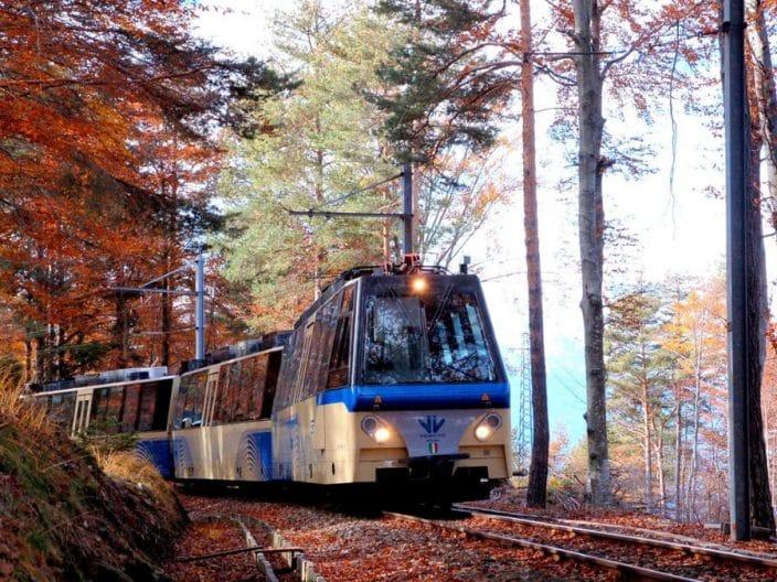 Foliage Train