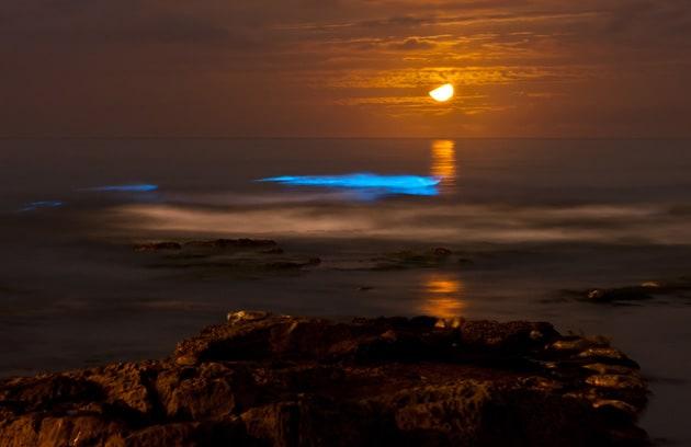 15 Magical Places to Observe the Bioluminescence Phenomenon