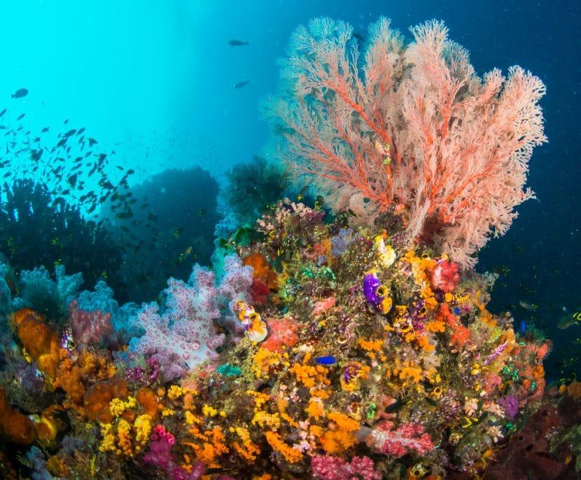 Raja Ampat: what to see and when to go