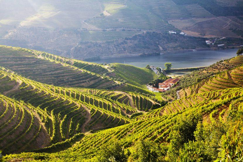 Douro Valley