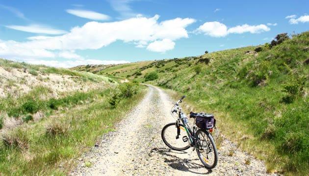 new-zealand_1