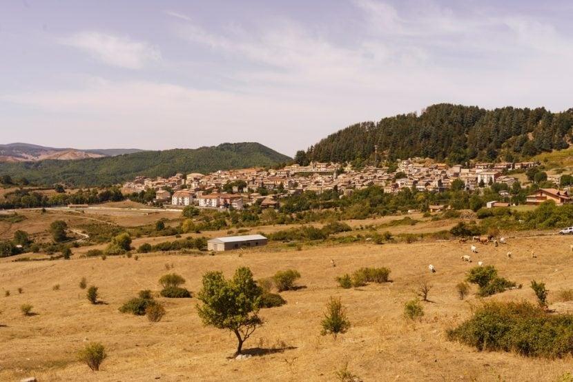 Floresta